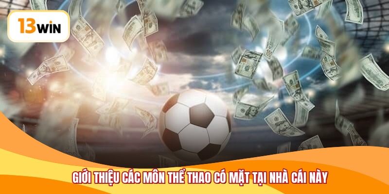 Giới thiệu các môn thể thao có mặt tại nhà cái này